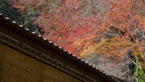 Japanese Building with Autumn Foliage in Daytime