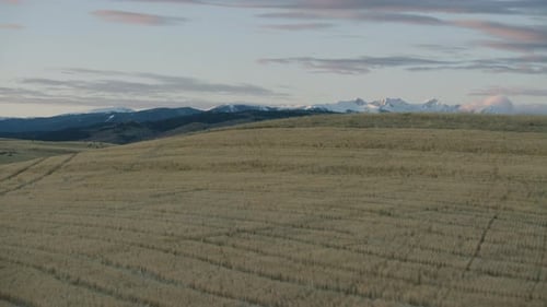 The Early Morning Sunrise Highlights the Snow-Covered Summits of the Spanish Peaks