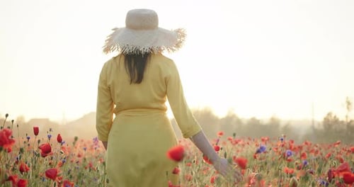 Rear View of Woman in a Yellow Dress and Straw Hat Walking in Poppy Field at Sunrise