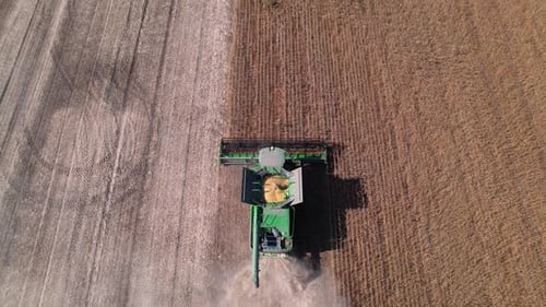 Combine harvests soybeans in the field. aerial top view.