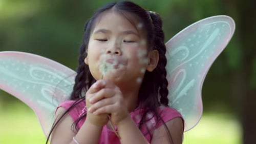 Fairy Princess Wish in Slow Motion