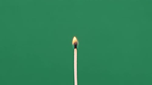 The Match Stick Ignites and Burns on a Green Background CloseUp