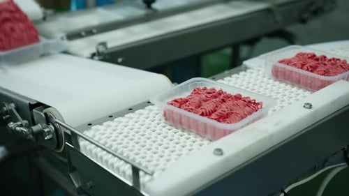 Ground pork in plastic containers moving on a conveyor belt in a food processing factory.