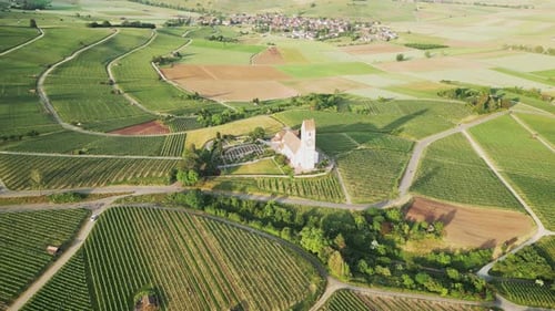 Aerial drone view of church surrounded by vineyards plantations with grape trees