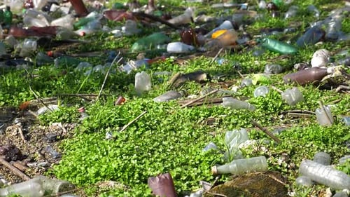 Der Fluss ist mit vielen Plastikflaschen verschmutzt, viele Abfälle werden offen deponiert und sind frei verfügbar