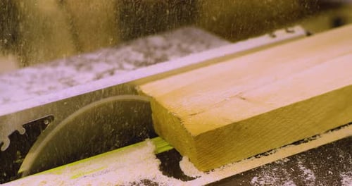 Circular Saw in Carpentry Workshop