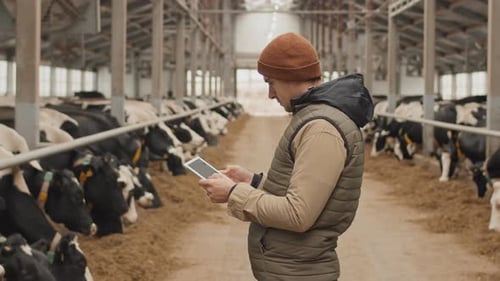 Modern Male Farmer Using Digital Tablet