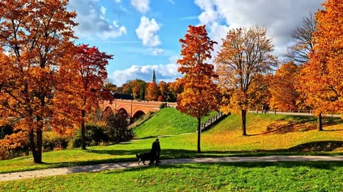 Picturesque shot of a couple strolling with a dog in a beautiful green park with trees turned
