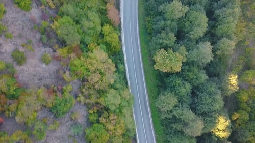 Cars driving on mountain road through a forest with green trees and bushes. Travel. Transportation.