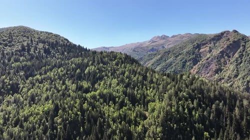 Flight over the forest and mountains in the region of Svaneti, Georgia
