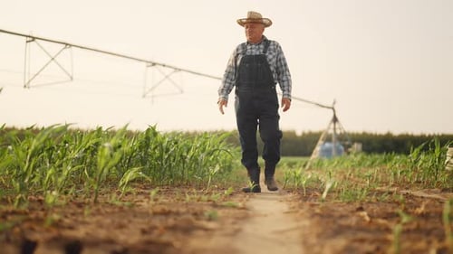 Modern Irrigation System in Field Old Farm Worker Controlling Plants Growth Farming and Agriculture