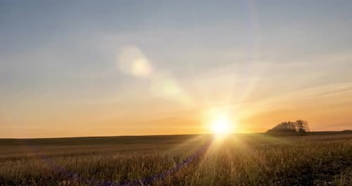 Meadow Timelapse at the Autumn Sunset Time Wild Nature and Rural Grass Field Sun Rays and Yellow