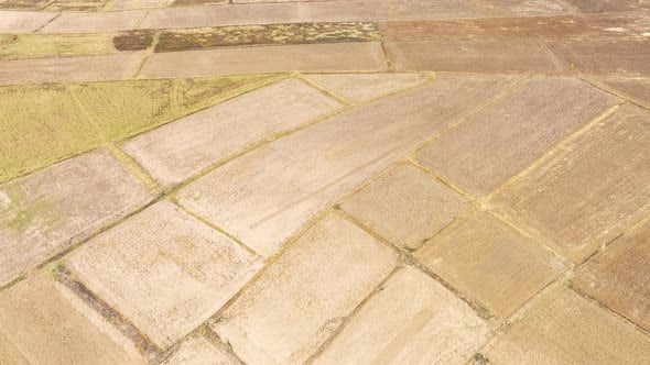 Showcases varied field textures and states of cultivation., Nature ...