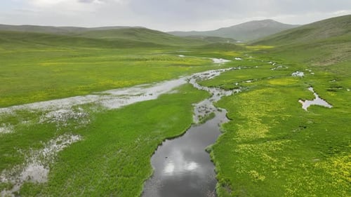 aerial spring background