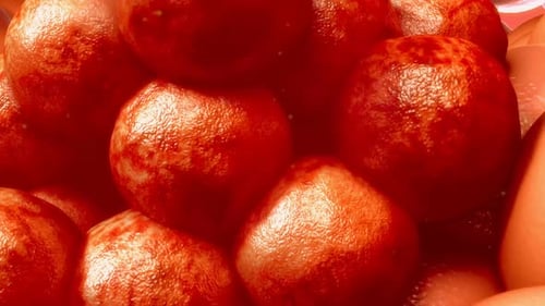 Microscopic Cell Growth and Division Animation