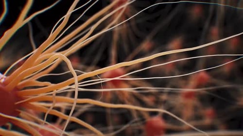 Animated Neural Network Medical Science Background