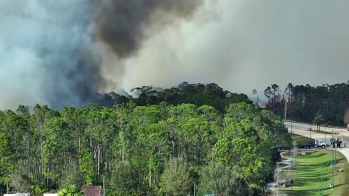 Emergency Service Firetrucks Extinguishing Wildfire Burning in Florida Jungle Woods Fire Department