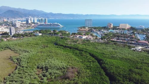 Estuary In The City Of Puerto Vallarta, Mexico