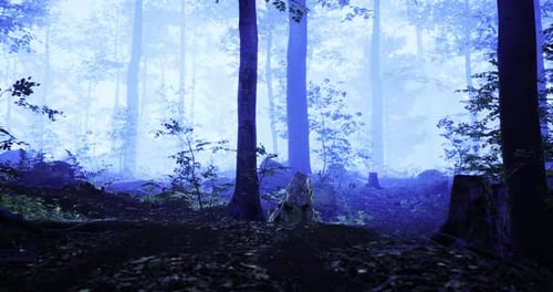 Paysage de forêt brumeuse avec arbres et sous-bois au crépuscule