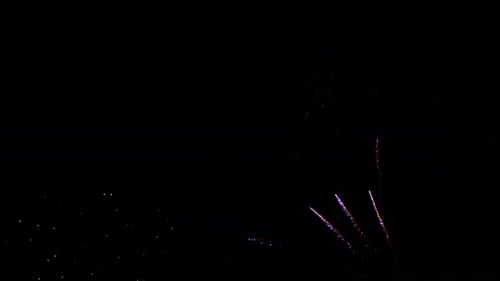 Colorful Fireworks Exploding in the Night Sky