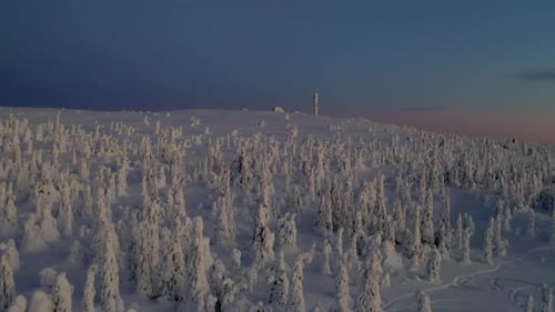 Aerial view moving up dense snow covered Scandinavian woodland hillside slope towards cabin and towe