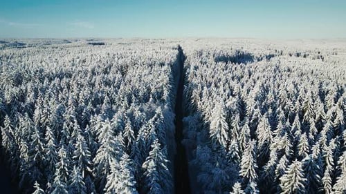 Gerade asphaltierte Autostraße durch Berge und Pinienwälder im Winter