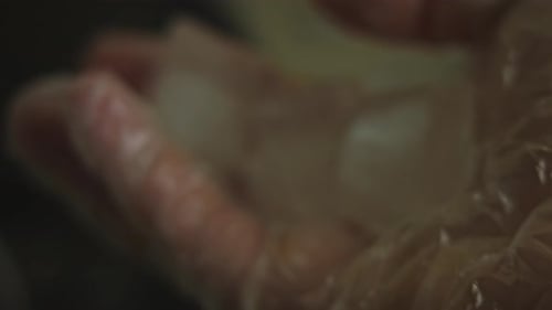 Gloved Hand Holding Ice Cubes