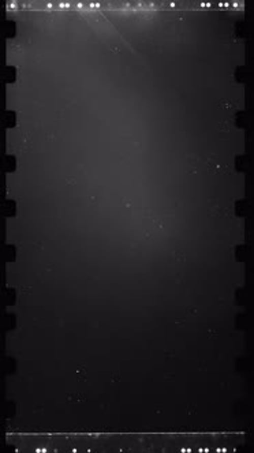 Retro Vertical Film Overlay with Dust and Scratches