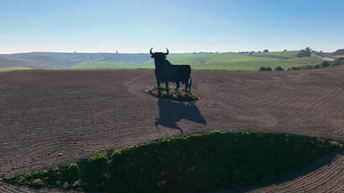Aerial View of The Bull of Osborne is a Huge Silhouette