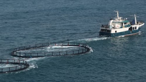A Mid sized marine vessel tows four fish farms along the west Australian coast.