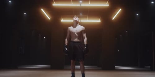 Young Boxer