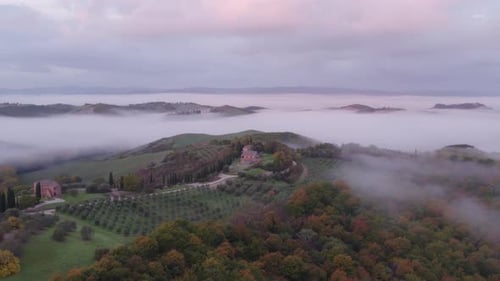 Rural Tuscan landscape with farm plantation on hill ridge and with mist