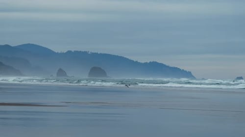 Wide Footage of Beach in Coastal Town Cannon Beach Oregon