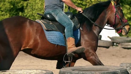 Horse and Rider Practicing in Outdoor Riding Arena