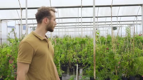 Young Adult Walks Through Greenhouse Filled With Plants