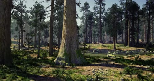 Majestic Forest Landscape with Lush Greenery and Towering Trees in Daylight