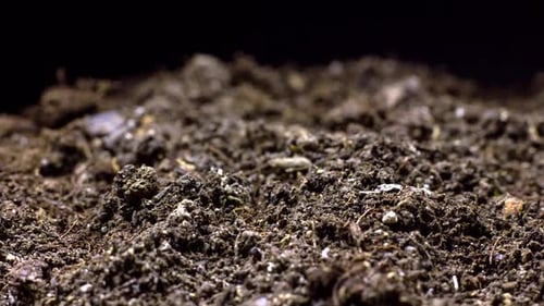 Close Up of Rich Soil
