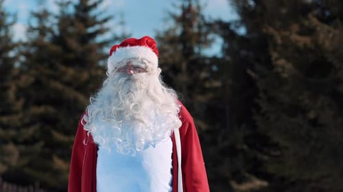 Santa is standing and looking at the camera, against the backdrop of pine trees during the day.