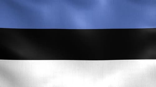 Realistic Waving Estonia Flag Loop Background