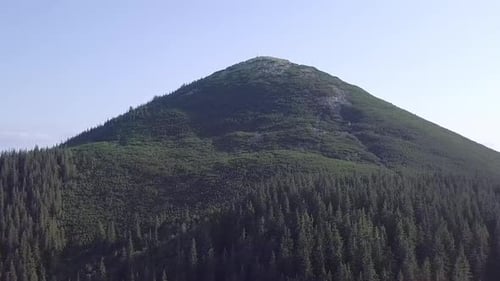 Wooded Mountain