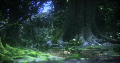 Majestic Tree Roots in a Serene Forest During Soft Daylight