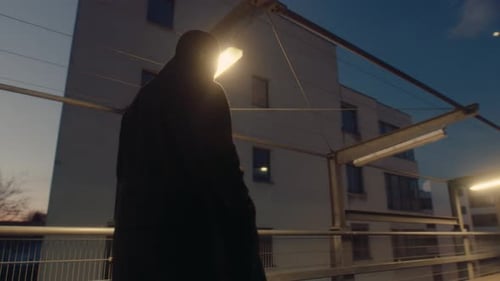 Criminal at Night