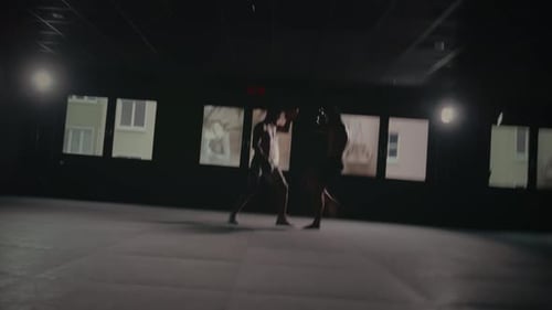 Mixed Martial Arts Fight