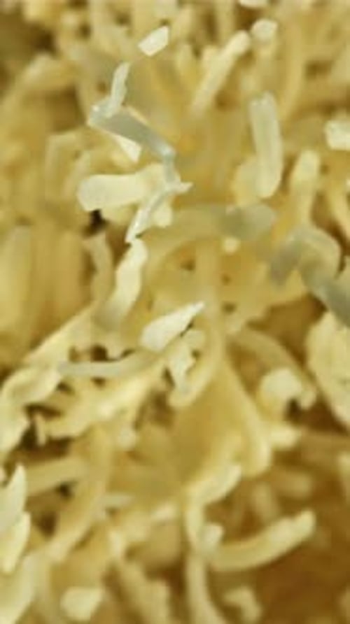 Shredded Cheese Flies Up Filmed on a Highspeed Camera at 1000 Fps