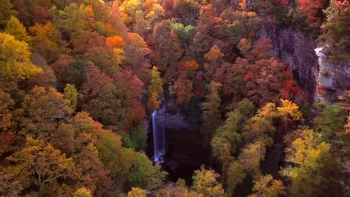 Magnífico Zumbido 4K con bosque y cascada