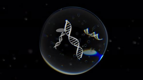DNA Double Helix Strand Rotates in a Cell on Black Background Loop Animation Science and