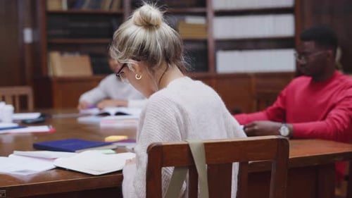 Lächelnder Student im Bibliotheksporträt beim Lernen für den Prüfungserfolg