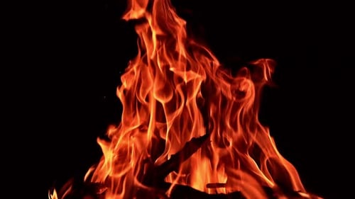 Big campfire burning at night. Black sticks burn in the bonfire with red flame. Close up.