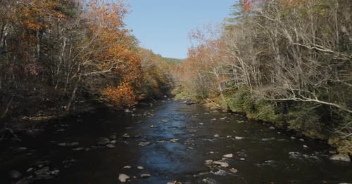 Autumn River in the forest