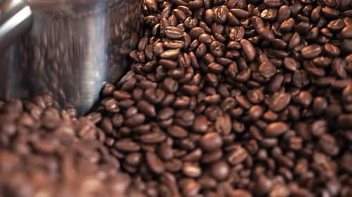 Close-up roasted coffee beans moving and mixing in drum roaster in slow motion. Roasting process